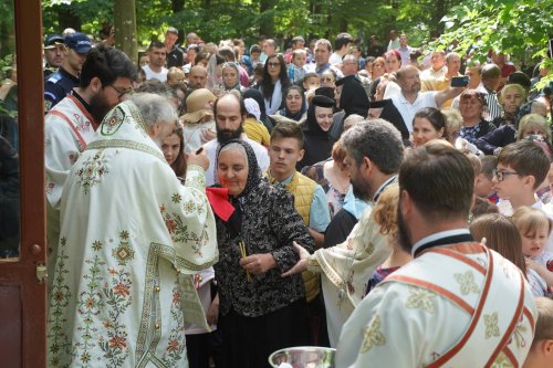 Zestrea din cufărul viitorului Poza 257513