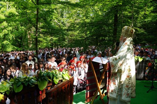 Zestrea din cufărul viitorului Poza 257523