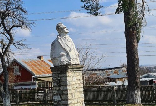 Cânta la Stupca o vioară Poza 257753