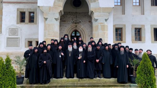 Vizita părintelui Efrem Vatopedinul la Mănăstirea Putna Poza 259345