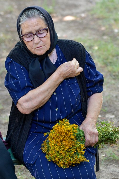 Sărbătorirea Sfântului Grigorie Dascălul la Mănăstirea Căldărușani Poza 259454