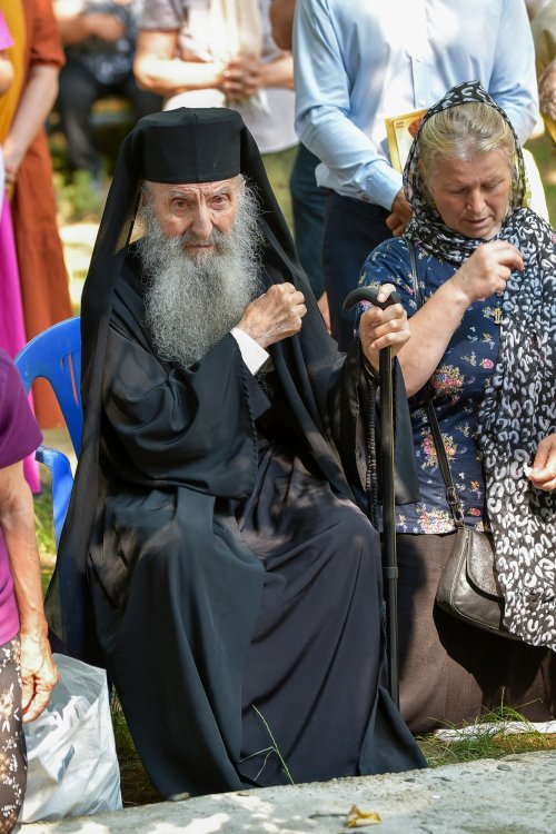 Sărbătorirea Sfântului Grigorie Dascălul la Mănăstirea Căldărușani Poza 259459