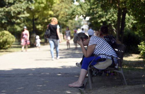 Temperaturi peste cele normale ale perioadei Poza 261267