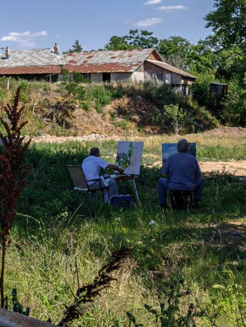 Prietenie și artă în satul natal al lui Marin Preda Poza 262183