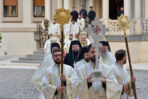 Hirotonia Episcopului-vicar patriarhal Paisie Sinaitul Poza 262391