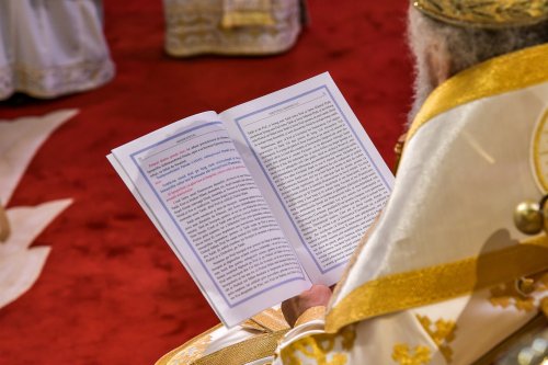 Hirotonia Episcopului-vicar patriarhal Paisie Sinaitul Poza 262397