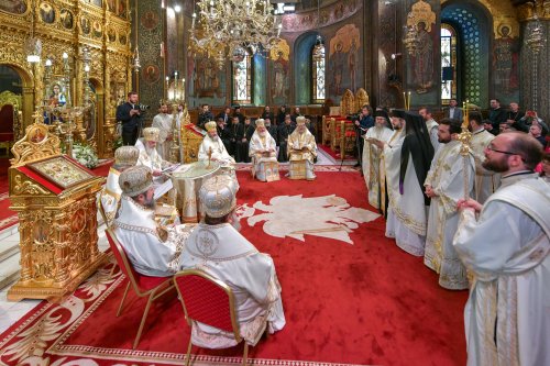 Hirotonia Episcopului-vicar patriarhal Paisie Sinaitul Poza 262401