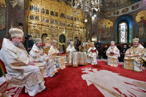 Hirotonia Episcopului-vicar patriarhal Paisie Sinaitul Poza 262403