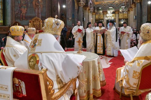 Hirotonia Episcopului-vicar patriarhal Paisie Sinaitul Poza 262405