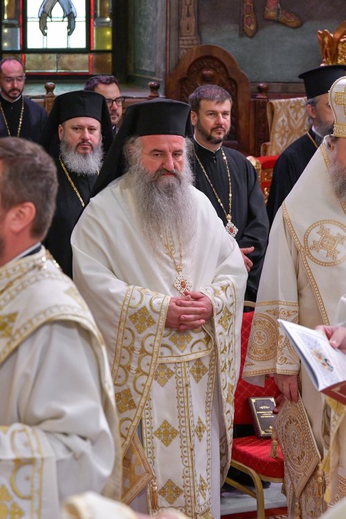 Hirotonia Episcopului-vicar patriarhal Paisie Sinaitul Poza 262413
