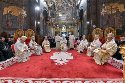 Hirotonia Episcopului-vicar patriarhal Paisie Sinaitul Poza 262419