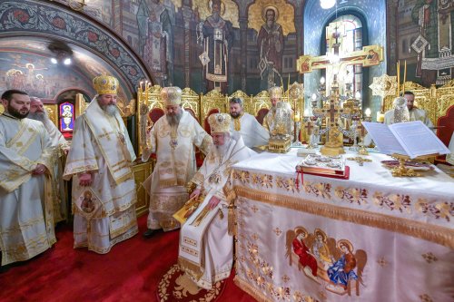 Hirotonia Episcopului-vicar patriarhal Paisie Sinaitul Poza 262432
