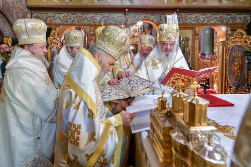Hirotonia Episcopului-vicar patriarhal Paisie Sinaitul Poza 262435