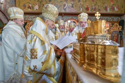 Hirotonia Episcopului-vicar patriarhal Paisie Sinaitul Poza 262437