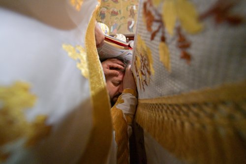 Hirotonia Episcopului-vicar patriarhal Paisie Sinaitul Poza 262438