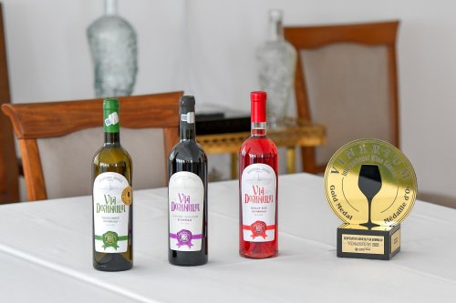 Vinuri noi produse la crama Jercălăi Poza 262770