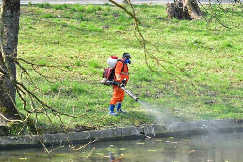 Cazurile de West Nile alertează autoritățile locale  Poza 266038