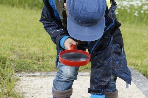 Program de educaţie pentru natură Poza 269105