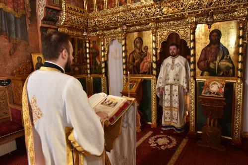 „Când omul face binele, atunci arată că este creat după chipul lui Dumnezeu” Poza 270187