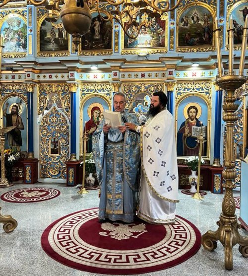 Binecuvântare pentru o frumoasă comemorare. Părintele Dumitru Stăniloae comemorat în satul natal Poza 271148