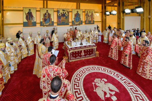 „Tot pământul este plin de minunile Sfântului Mare Mucenic Dimitrie” Poza 274121