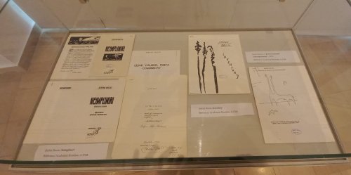 Expoziție despre Ștefan Baciu și  Mira Simian la Biblioteca Academiei Poza 276981