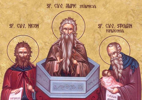 Sf. Cuv. Alipie Stâlpnicul, Nicon şi Stelian Paflagonul (Dezlegare la pește) Poza 235354