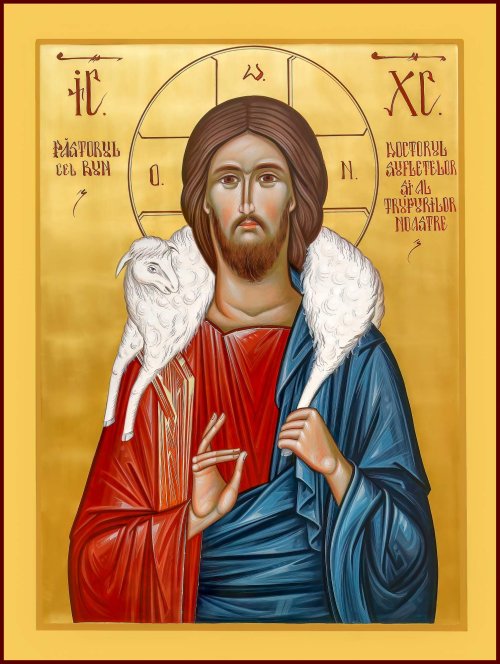 Proclamarea anului 2024 în Patriarhia Română ca „Anul omagial al pastoraţiei şi îngrijirii bolnavilor” şi „Anul comemorativ al tuturor Sfinţilor tămăduitori fără de arginţi” Poza 283156