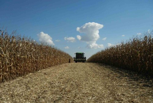 Fonduri nerambursabile pentru tinerii fermieri Poza 283824