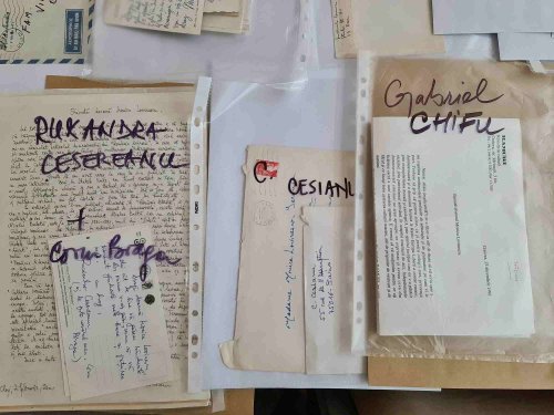 „Din aceste scrisori se va vedea importanța muncii de-o viață a Monicăi Lovinescu” Poza 283321