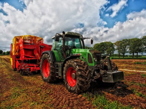 Malta are cel mai scump teren agricol: 233.230 euro/ha Poza 285770