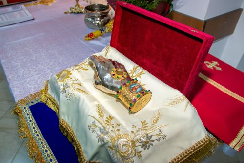 Binecuvântarea Sfinților tămăduitori pentru pacienți din Buzău și Vrancea Poza 286266
