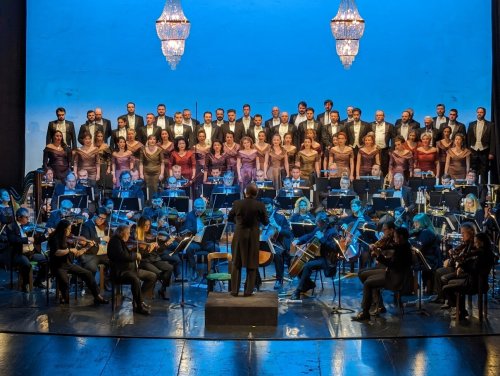 Concert caritabil la Opera Națională Română din Timișoara Poza 286229