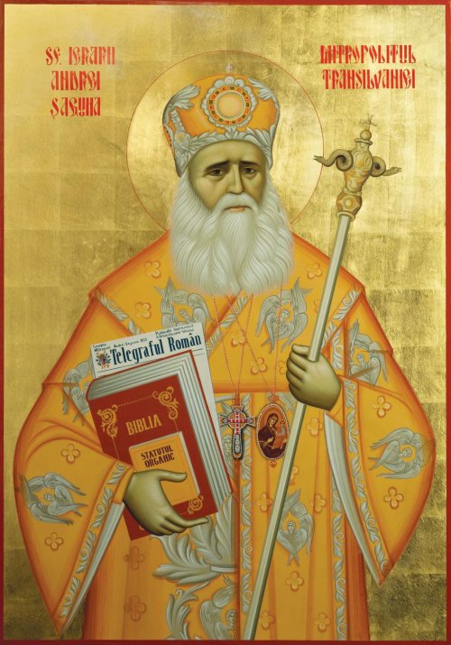 Îndrumările Sfântului Andrei Șaguna privind pastorația bolnavilor Poza 286650