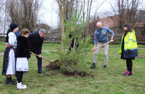 Parc pe 14 hectare în Ciugud Poza 288468