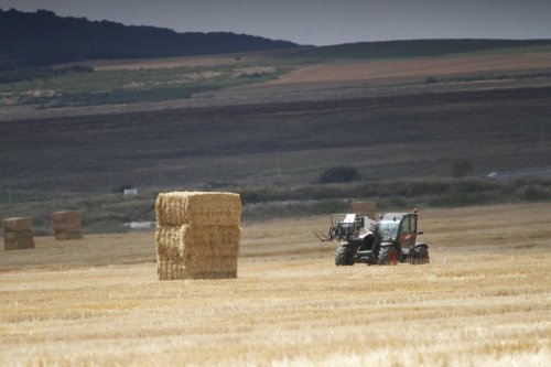 Măsuri care vor simplifica Politica Agricolă Comună Poza 288767