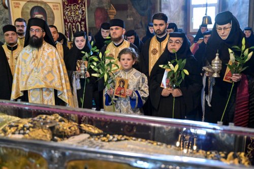 Pelerinajul Sfântului Dimitrie cel Nou în judeţul Ilfov, la final Poza 290355