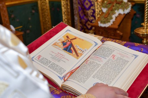 Biserica Ortodoxă a înțeles că toată nevoința este plină de speranță Poza 291054