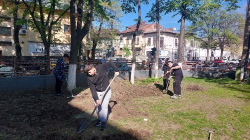 Elevii seminarului bucureștean implicați în activități ecologice Poza 291216