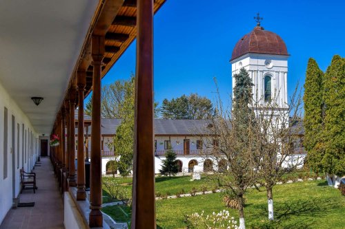 Sclipirile Luminii: Mănăstirea Cernica Poza 291544