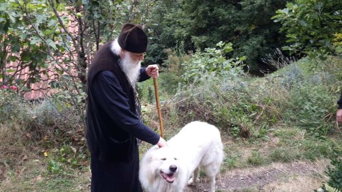 Părintele Gabriel Bunge, un convertit care convertește la Ortodoxie Poza 290790
