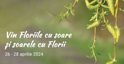 „Vin Floriile cu Soare…” Poza 292950