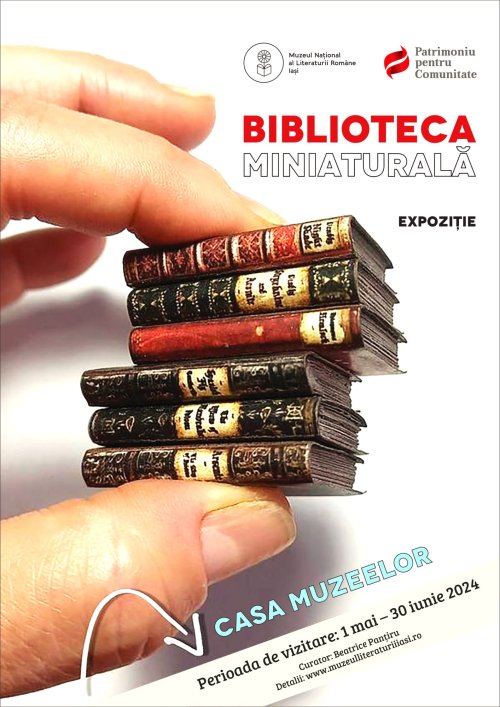 Biblioteca miniaturală  Poza 295322