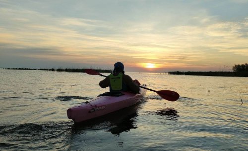 Trasee pentru turism lent în Delta Dunării Poza 297497