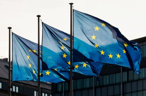 Țările de Jos dau startul alegerilor pentru Parlamentul European Poza 298199