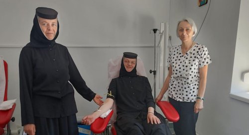 Campanie de donare de sânge în Arhiepiscopia Târgoviștei Poza 298992