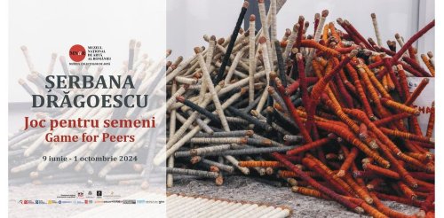 Colecția Șerbanei Drăgoescu la Muzeul de Artă al României Poza 301451