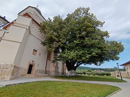 Mănăstirea renăscută din Codrii Iaşilor Poza 301562