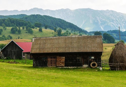 Viaţa la ţară Poza 301836