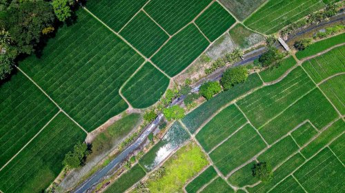 Cărţi funciare gratuite pentru terenurile agricole Poza 305433